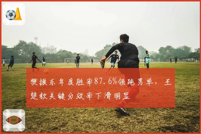 樊振东年度胜率87.6%领跑男单，王楚钦关键分效率下滑明显